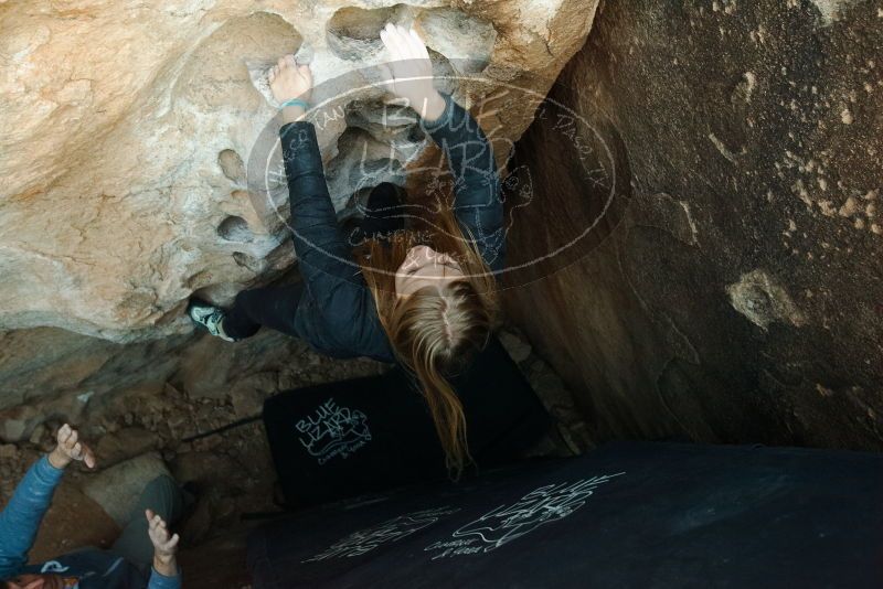 Bouldering in Hueco Tanks on 12/22/2018 with Blue Lizard Climbing and Yoga

Filename: SRM_20181222_1757080.jpg
Aperture: f/4.0
Shutter Speed: 1/160
Body: Canon EOS-1D Mark II
Lens: Canon EF 16-35mm f/2.8 L