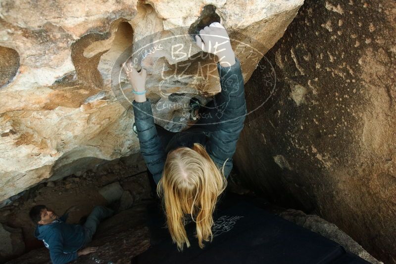 Bouldering in Hueco Tanks on 12/22/2018 with Blue Lizard Climbing and Yoga

Filename: SRM_20181222_1757150.jpg
Aperture: f/4.5
Shutter Speed: 1/160
Body: Canon EOS-1D Mark II
Lens: Canon EF 16-35mm f/2.8 L