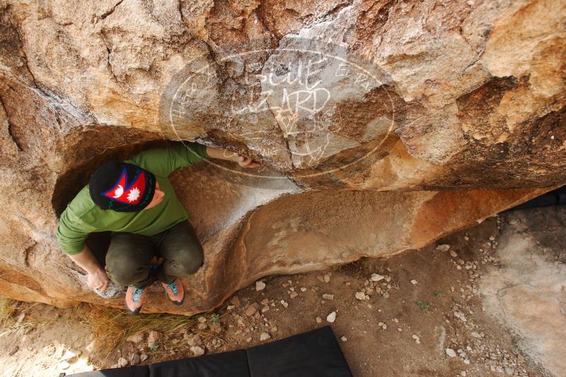 Bouldering in Hueco Tanks on 12/23/2018 with Blue Lizard Climbing and Yoga

Filename: SRM_20181223_1117160.jpg
Aperture: f/5.6
Shutter Speed: 1/200
Body: Canon EOS-1D Mark II
Lens: Canon EF 16-35mm f/2.8 L