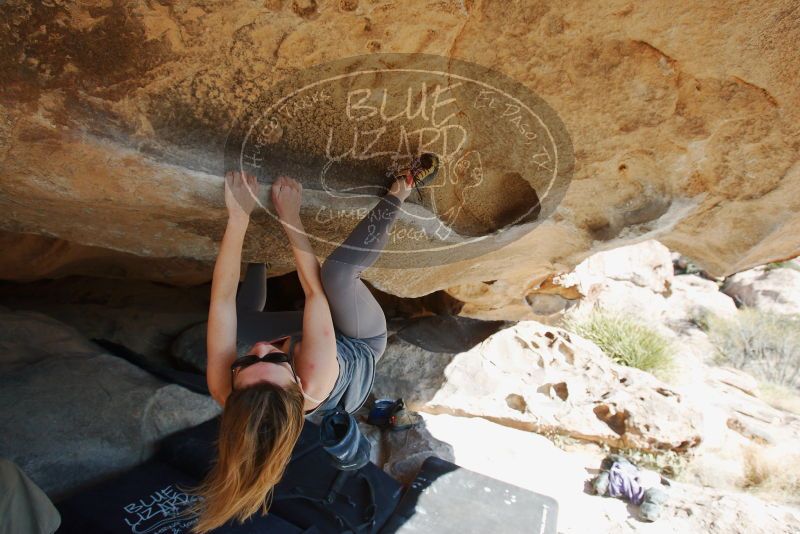 Bouldering in Hueco Tanks on 12/23/2018 with Blue Lizard Climbing and Yoga

Filename: SRM_20181223_1215310.jpg
Aperture: f/5.6
Shutter Speed: 1/400
Body: Canon EOS-1D Mark II
Lens: Canon EF 16-35mm f/2.8 L