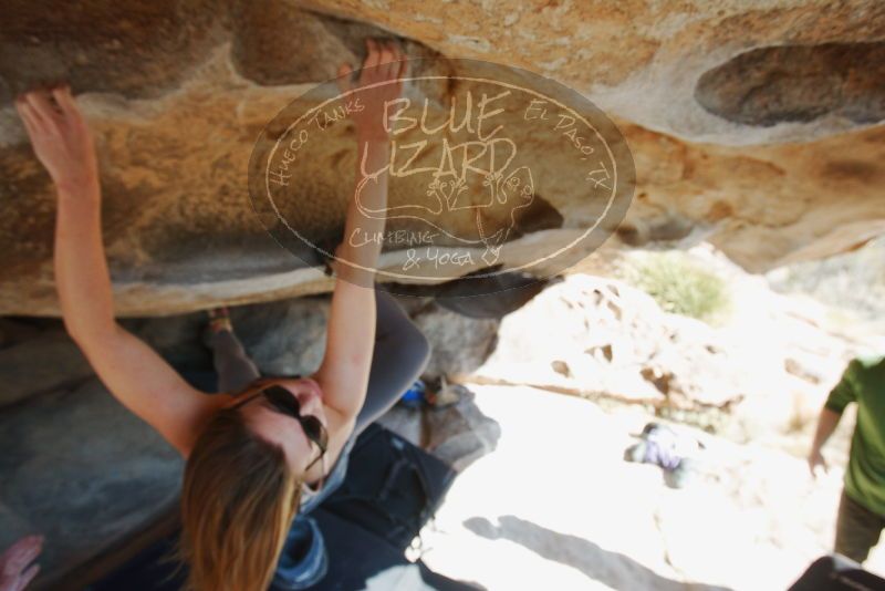 Bouldering in Hueco Tanks on 12/23/2018 with Blue Lizard Climbing and Yoga

Filename: SRM_20181223_1223100.jpg
Aperture: f/5.6
Shutter Speed: 1/320
Body: Canon EOS-1D Mark II
Lens: Canon EF 16-35mm f/2.8 L