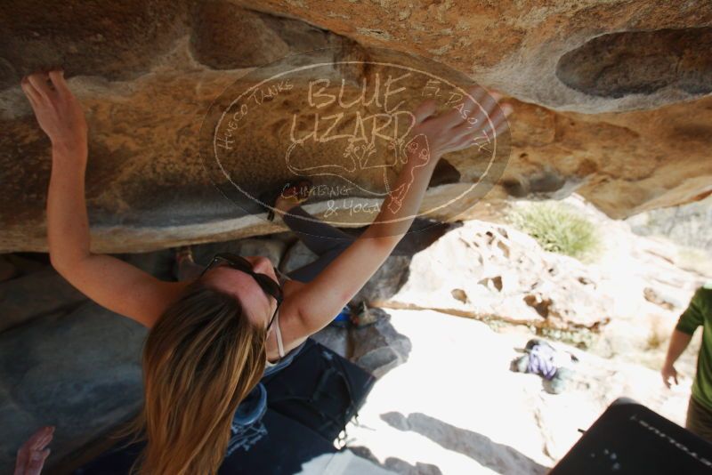 Bouldering in Hueco Tanks on 12/23/2018 with Blue Lizard Climbing and Yoga

Filename: SRM_20181223_1223101.jpg
Aperture: f/5.6
Shutter Speed: 1/500
Body: Canon EOS-1D Mark II
Lens: Canon EF 16-35mm f/2.8 L