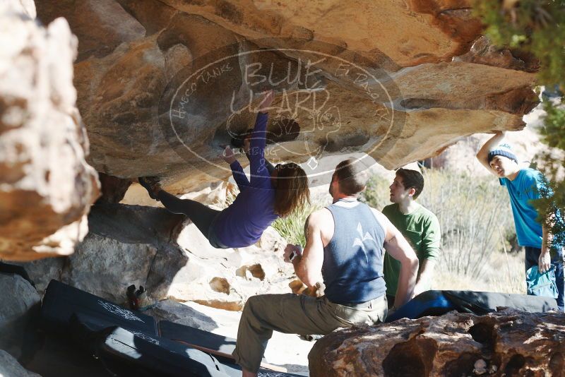 Bouldering in Hueco Tanks on 12/23/2018 with Blue Lizard Climbing and Yoga

Filename: SRM_20181223_1252360.jpg
Aperture: f/4.0
Shutter Speed: 1/800
Body: Canon EOS-1D Mark II
Lens: Canon EF 50mm f/1.8 II