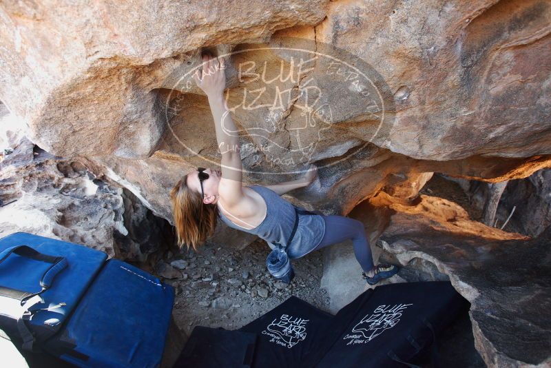 Bouldering in Hueco Tanks on 12/23/2018 with Blue Lizard Climbing and Yoga

Filename: SRM_20181223_1349560.jpg
Aperture: f/4.0
Shutter Speed: 1/125
Body: Canon EOS-1D Mark II
Lens: Canon EF 16-35mm f/2.8 L