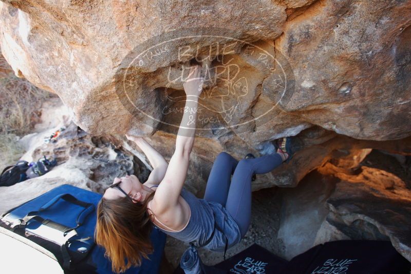 Bouldering in Hueco Tanks on 12/23/2018 with Blue Lizard Climbing and Yoga

Filename: SRM_20181223_1350320.jpg
Aperture: f/4.0
Shutter Speed: 1/200
Body: Canon EOS-1D Mark II
Lens: Canon EF 16-35mm f/2.8 L