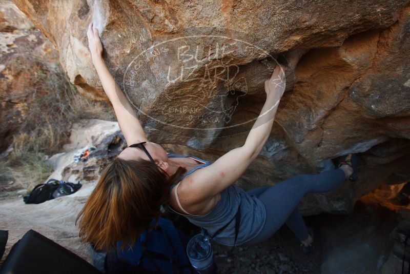 Bouldering in Hueco Tanks on 12/23/2018 with Blue Lizard Climbing and Yoga

Filename: SRM_20181223_1416250.jpg
Aperture: f/4.5
Shutter Speed: 1/400
Body: Canon EOS-1D Mark II
Lens: Canon EF 16-35mm f/2.8 L