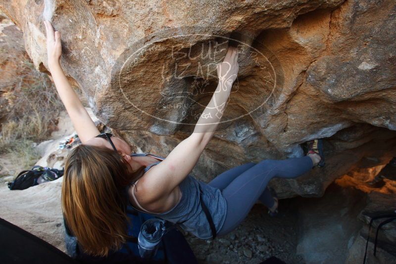 Bouldering in Hueco Tanks on 12/23/2018 with Blue Lizard Climbing and Yoga

Filename: SRM_20181223_1416580.jpg
Aperture: f/4.5
Shutter Speed: 1/320
Body: Canon EOS-1D Mark II
Lens: Canon EF 16-35mm f/2.8 L