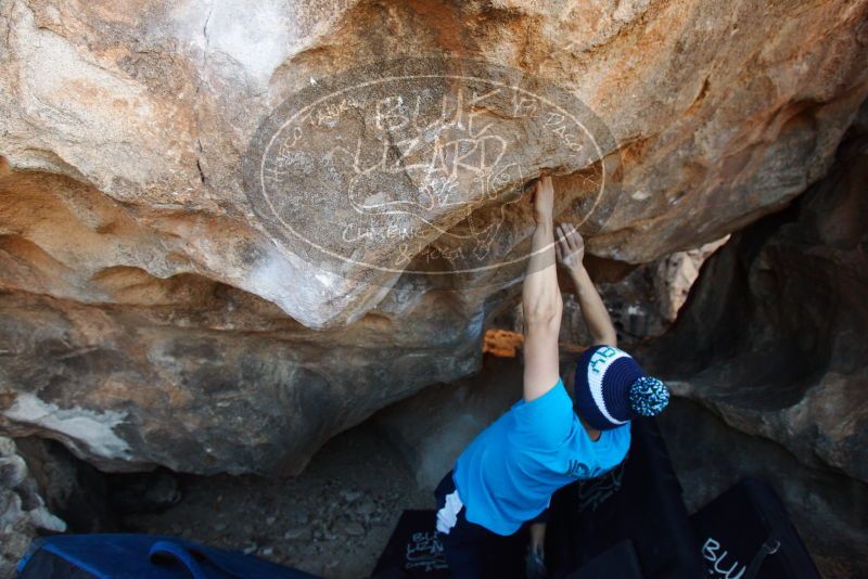 Bouldering in Hueco Tanks on 12/23/2018 with Blue Lizard Climbing and Yoga

Filename: SRM_20181223_1422260.jpg
Aperture: f/4.0
Shutter Speed: 1/400
Body: Canon EOS-1D Mark II
Lens: Canon EF 16-35mm f/2.8 L