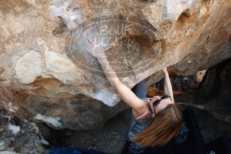 Bouldering in Hueco Tanks on 12/23/2018 with Blue Lizard Climbing and Yoga

Filename: SRM_20181223_1429030.jpg
Aperture: f/5.0
Shutter Speed: 1/250
Body: Canon EOS-1D Mark II
Lens: Canon EF 16-35mm f/2.8 L