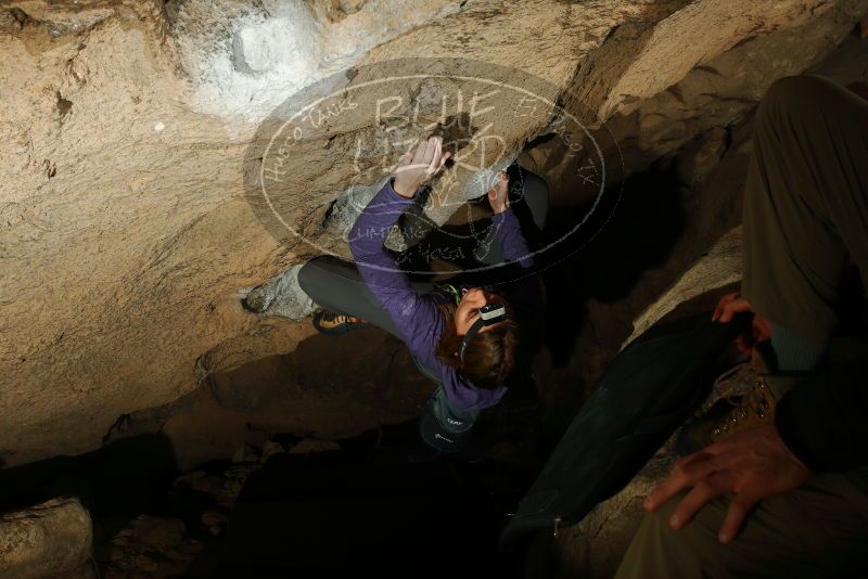 Bouldering in Hueco Tanks on 12/23/2018 with Blue Lizard Climbing and Yoga

Filename: SRM_20181223_1505590.jpg
Aperture: f/8.0
Shutter Speed: 1/250
Body: Canon EOS-1D Mark II
Lens: Canon EF 16-35mm f/2.8 L