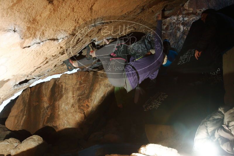 Bouldering in Hueco Tanks on 12/23/2018 with Blue Lizard Climbing and Yoga

Filename: SRM_20181223_1554450.jpg
Aperture: f/8.0
Shutter Speed: 1/250
Body: Canon EOS-1D Mark II
Lens: Canon EF 16-35mm f/2.8 L