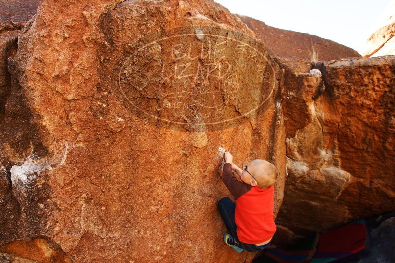 Bouldering in Hueco Tanks on 12/24/2018 with Blue Lizard Climbing and Yoga

Filename: SRM_20181224_1045590.jpg
Aperture: f/5.6
Shutter Speed: 1/250
Body: Canon EOS-1D Mark II
Lens: Canon EF 16-35mm f/2.8 L