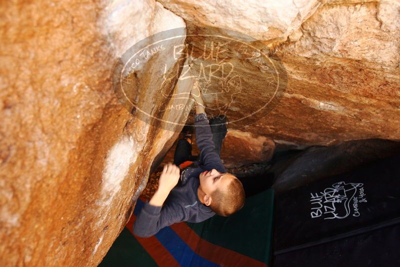 Bouldering in Hueco Tanks on 12/24/2018 with Blue Lizard Climbing and Yoga

Filename: SRM_20181224_1105240.jpg
Aperture: f/4.0
Shutter Speed: 1/200
Body: Canon EOS-1D Mark II
Lens: Canon EF 16-35mm f/2.8 L