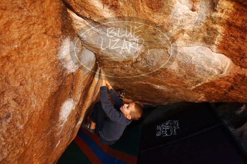 Bouldering in Hueco Tanks on 12/24/2018 with Blue Lizard Climbing and Yoga

Filename: SRM_20181224_1105360.jpg
Aperture: f/4.5
Shutter Speed: 1/250
Body: Canon EOS-1D Mark II
Lens: Canon EF 16-35mm f/2.8 L