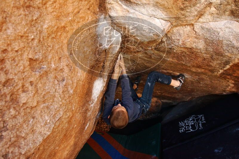 Bouldering in Hueco Tanks on 12/24/2018 with Blue Lizard Climbing and Yoga

Filename: SRM_20181224_1107430.jpg
Aperture: f/4.5
Shutter Speed: 1/200
Body: Canon EOS-1D Mark II
Lens: Canon EF 16-35mm f/2.8 L