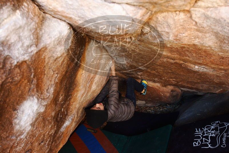 Bouldering in Hueco Tanks on 12/24/2018 with Blue Lizard Climbing and Yoga

Filename: SRM_20181224_1108430.jpg
Aperture: f/4.5
Shutter Speed: 1/125
Body: Canon EOS-1D Mark II
Lens: Canon EF 16-35mm f/2.8 L