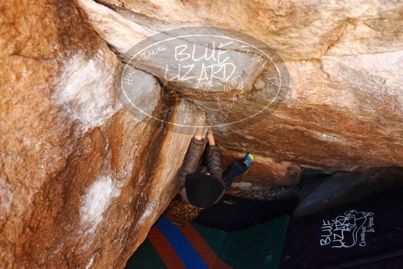 Bouldering in Hueco Tanks on 12/24/2018 with Blue Lizard Climbing and Yoga

Filename: SRM_20181224_1108470.jpg
Aperture: f/4.5
Shutter Speed: 1/125
Body: Canon EOS-1D Mark II
Lens: Canon EF 16-35mm f/2.8 L