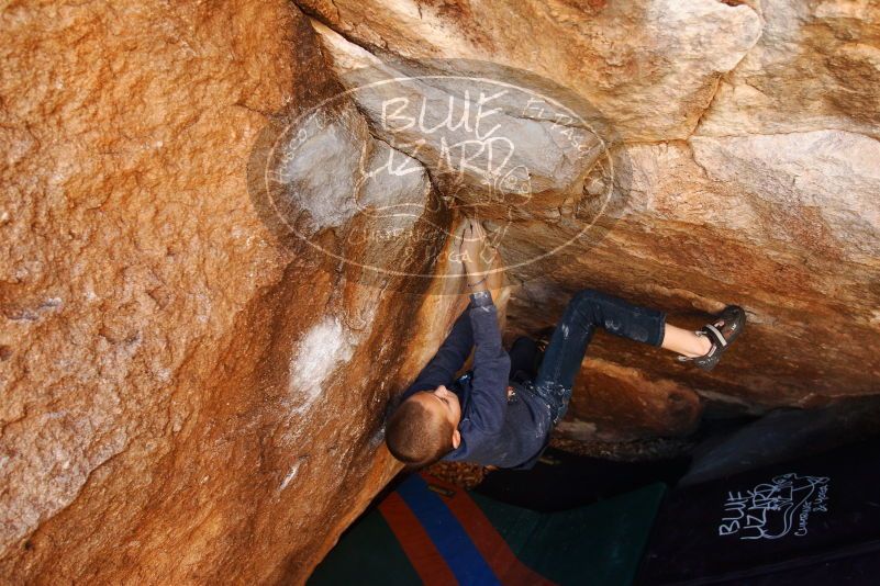 Bouldering in Hueco Tanks on 12/24/2018 with Blue Lizard Climbing and Yoga

Filename: SRM_20181224_1110030.jpg
Aperture: f/4.5
Shutter Speed: 1/200
Body: Canon EOS-1D Mark II
Lens: Canon EF 16-35mm f/2.8 L