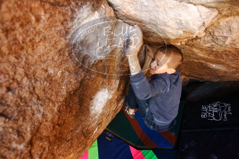 Bouldering in Hueco Tanks on 12/24/2018 with Blue Lizard Climbing and Yoga

Filename: SRM_20181224_1110160.jpg
Aperture: f/4.5
Shutter Speed: 1/160
Body: Canon EOS-1D Mark II
Lens: Canon EF 16-35mm f/2.8 L