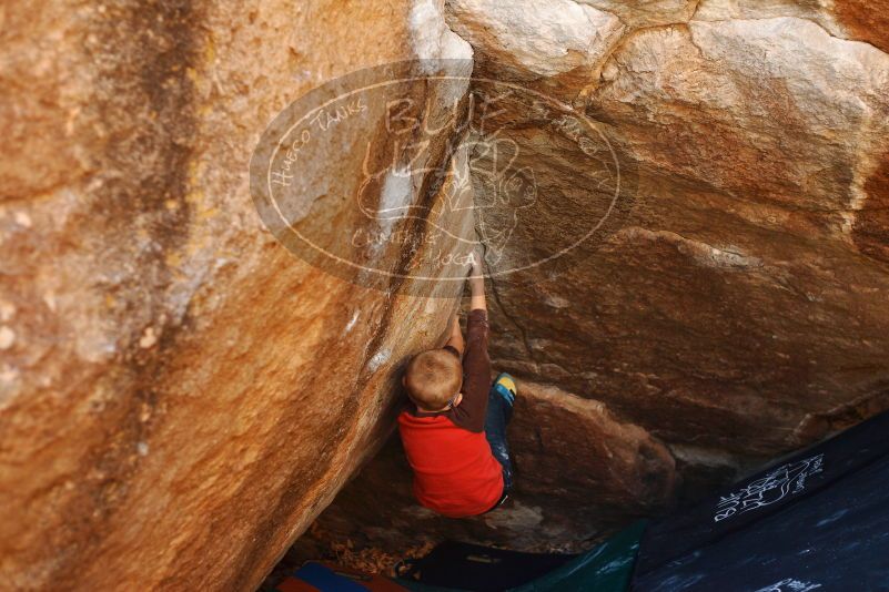 Bouldering in Hueco Tanks on 12/24/2018 with Blue Lizard Climbing and Yoga

Filename: SRM_20181224_1116510.jpg
Aperture: f/2.8
Shutter Speed: 1/320
Body: Canon EOS-1D Mark II
Lens: Canon EF 50mm f/1.8 II