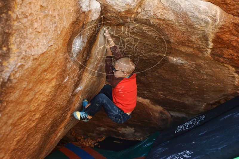 Bouldering in Hueco Tanks on 12/24/2018 with Blue Lizard Climbing and Yoga

Filename: SRM_20181224_1117550.jpg
Aperture: f/2.8
Shutter Speed: 1/250
Body: Canon EOS-1D Mark II
Lens: Canon EF 50mm f/1.8 II