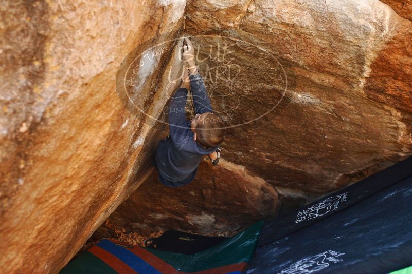 Bouldering in Hueco Tanks on 12/24/2018 with Blue Lizard Climbing and Yoga

Filename: SRM_20181224_1118330.jpg
Aperture: f/2.8
Shutter Speed: 1/250
Body: Canon EOS-1D Mark II
Lens: Canon EF 50mm f/1.8 II