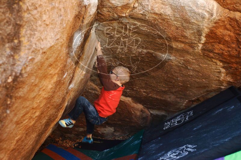 Bouldering in Hueco Tanks on 12/24/2018 with Blue Lizard Climbing and Yoga

Filename: SRM_20181224_1121390.jpg
Aperture: f/2.8
Shutter Speed: 1/250
Body: Canon EOS-1D Mark II
Lens: Canon EF 50mm f/1.8 II