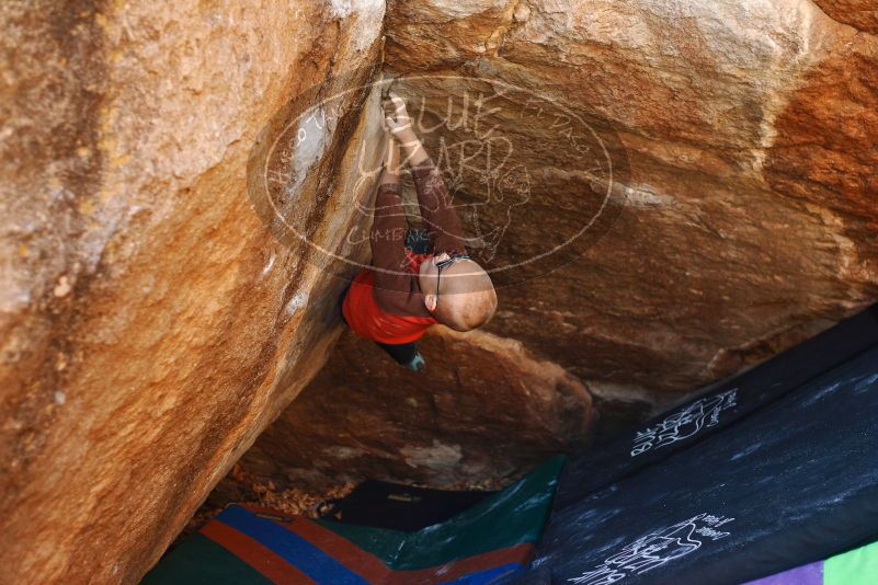 Bouldering in Hueco Tanks on 12/24/2018 with Blue Lizard Climbing and Yoga

Filename: SRM_20181224_1122340.jpg
Aperture: f/2.8
Shutter Speed: 1/250
Body: Canon EOS-1D Mark II
Lens: Canon EF 50mm f/1.8 II