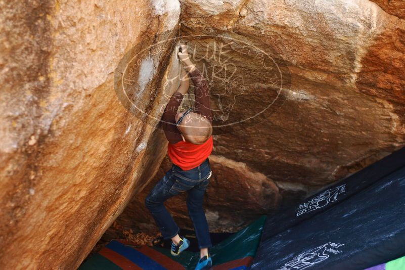 Bouldering in Hueco Tanks on 12/24/2018 with Blue Lizard Climbing and Yoga

Filename: SRM_20181224_1122380.jpg
Aperture: f/2.8
Shutter Speed: 1/250
Body: Canon EOS-1D Mark II
Lens: Canon EF 50mm f/1.8 II