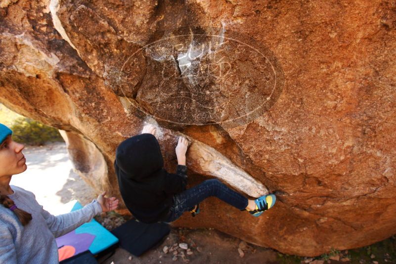 Bouldering in Hueco Tanks on 12/24/2018 with Blue Lizard Climbing and Yoga

Filename: SRM_20181224_1129590.jpg
Aperture: f/4.0
Shutter Speed: 1/160
Body: Canon EOS-1D Mark II
Lens: Canon EF 16-35mm f/2.8 L