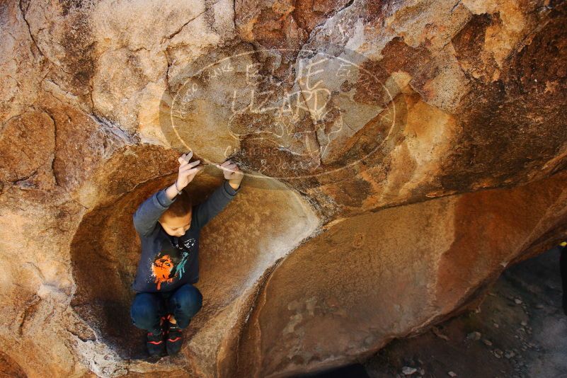 Bouldering in Hueco Tanks on 12/24/2018 with Blue Lizard Climbing and Yoga

Filename: SRM_20181224_1131410.jpg
Aperture: f/5.0
Shutter Speed: 1/200
Body: Canon EOS-1D Mark II
Lens: Canon EF 16-35mm f/2.8 L