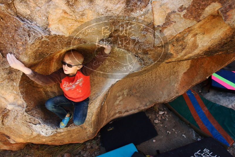 Bouldering in Hueco Tanks on 12/24/2018 with Blue Lizard Climbing and Yoga

Filename: SRM_20181224_1138460.jpg
Aperture: f/5.6
Shutter Speed: 1/160
Body: Canon EOS-1D Mark II
Lens: Canon EF 16-35mm f/2.8 L