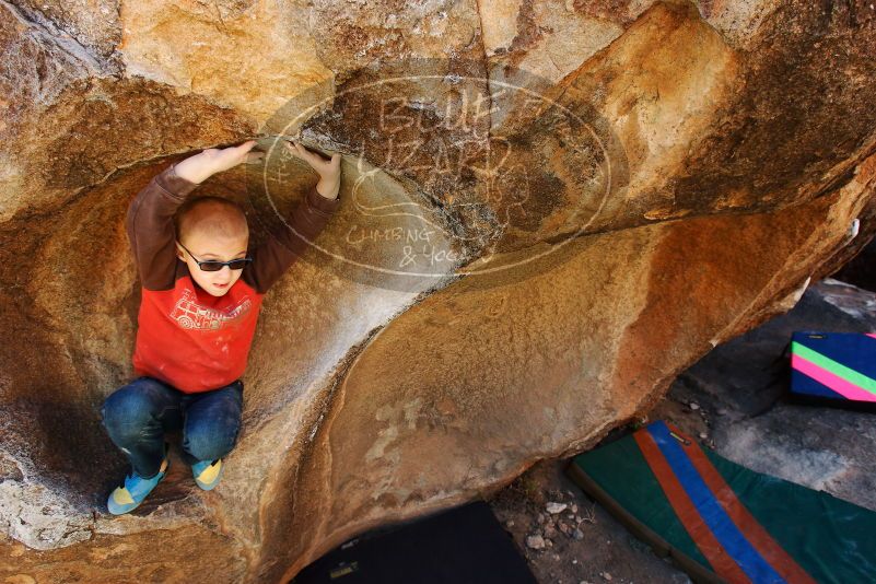 Bouldering in Hueco Tanks on 12/24/2018 with Blue Lizard Climbing and Yoga

Filename: SRM_20181224_1138530.jpg
Aperture: f/5.6
Shutter Speed: 1/160
Body: Canon EOS-1D Mark II
Lens: Canon EF 16-35mm f/2.8 L