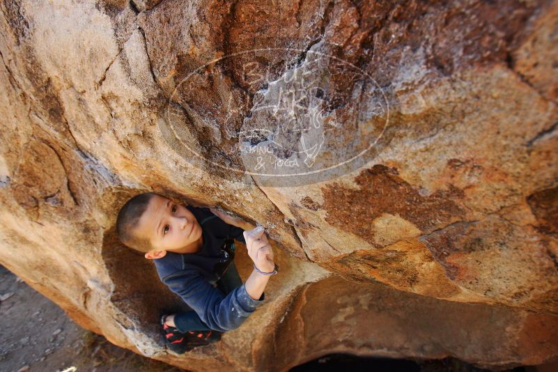 Bouldering in Hueco Tanks on 12/24/2018 with Blue Lizard Climbing and Yoga

Filename: SRM_20181224_1140020.jpg
Aperture: f/5.6
Shutter Speed: 1/200
Body: Canon EOS-1D Mark II
Lens: Canon EF 16-35mm f/2.8 L