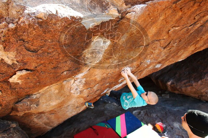 Bouldering in Hueco Tanks on 12/24/2018 with Blue Lizard Climbing and Yoga

Filename: SRM_20181224_1500130.jpg
Aperture: f/5.0
Shutter Speed: 1/400
Body: Canon EOS-1D Mark II
Lens: Canon EF 16-35mm f/2.8 L