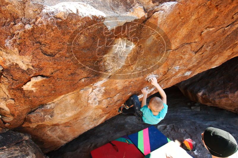 Bouldering in Hueco Tanks on 12/24/2018 with Blue Lizard Climbing and Yoga

Filename: SRM_20181224_1500170.jpg
Aperture: f/5.0
Shutter Speed: 1/400
Body: Canon EOS-1D Mark II
Lens: Canon EF 16-35mm f/2.8 L