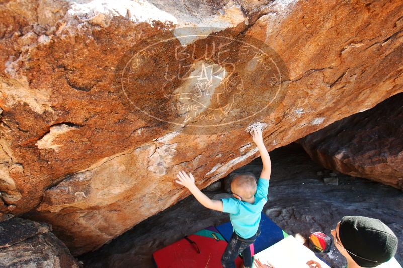 Bouldering in Hueco Tanks on 12/24/2018 with Blue Lizard Climbing and Yoga

Filename: SRM_20181224_1500200.jpg
Aperture: f/5.0
Shutter Speed: 1/320
Body: Canon EOS-1D Mark II
Lens: Canon EF 16-35mm f/2.8 L