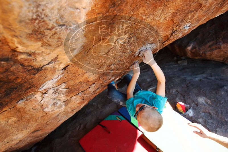 Bouldering in Hueco Tanks on 12/24/2018 with Blue Lizard Climbing and Yoga

Filename: SRM_20181224_1502310.jpg
Aperture: f/5.0
Shutter Speed: 1/400
Body: Canon EOS-1D Mark II
Lens: Canon EF 16-35mm f/2.8 L