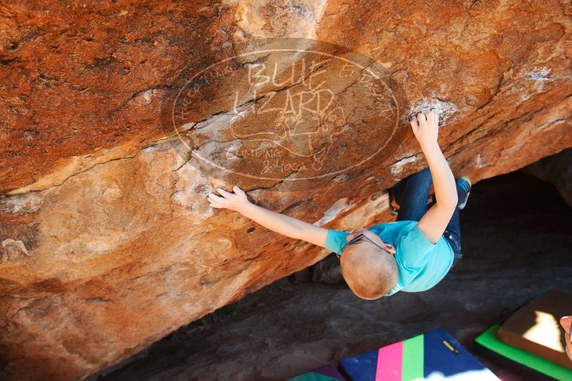 Bouldering in Hueco Tanks on 12/24/2018 with Blue Lizard Climbing and Yoga

Filename: SRM_20181224_1511470.jpg
Aperture: f/5.0
Shutter Speed: 1/400
Body: Canon EOS-1D Mark II
Lens: Canon EF 16-35mm f/2.8 L