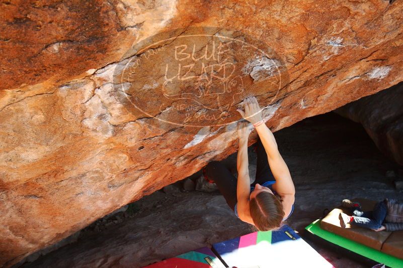 Bouldering in Hueco Tanks on 12/24/2018 with Blue Lizard Climbing and Yoga

Filename: SRM_20181224_1516580.jpg
Aperture: f/5.0
Shutter Speed: 1/400
Body: Canon EOS-1D Mark II
Lens: Canon EF 16-35mm f/2.8 L