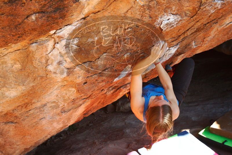 Bouldering in Hueco Tanks on 12/24/2018 with Blue Lizard Climbing and Yoga

Filename: SRM_20181224_1522180.jpg
Aperture: f/5.6
Shutter Speed: 1/320
Body: Canon EOS-1D Mark II
Lens: Canon EF 16-35mm f/2.8 L