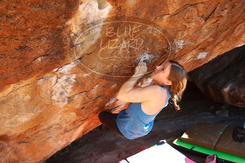 Bouldering in Hueco Tanks on 12/24/2018 with Blue Lizard Climbing and Yoga

Filename: SRM_20181224_1522280.jpg
Aperture: f/5.6
Shutter Speed: 1/320
Body: Canon EOS-1D Mark II
Lens: Canon EF 16-35mm f/2.8 L