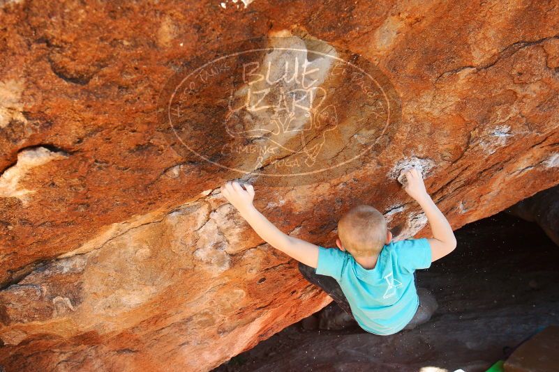 Bouldering in Hueco Tanks on 12/24/2018 with Blue Lizard Climbing and Yoga

Filename: SRM_20181224_1527070.jpg
Aperture: f/5.6
Shutter Speed: 1/320
Body: Canon EOS-1D Mark II
Lens: Canon EF 16-35mm f/2.8 L