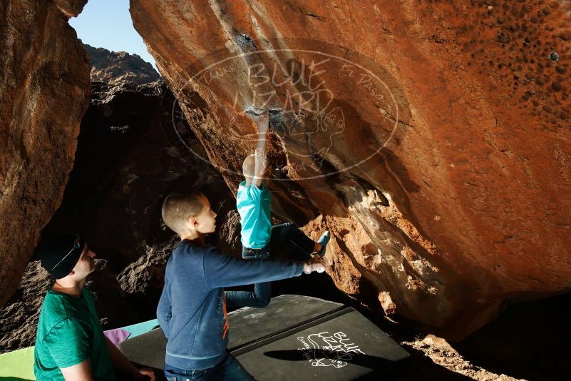 Bouldering in Hueco Tanks on 12/24/2018 with Blue Lizard Climbing and Yoga

Filename: SRM_20181224_1543090.jpg
Aperture: f/8.0
Shutter Speed: 1/250
Body: Canon EOS-1D Mark II
Lens: Canon EF 16-35mm f/2.8 L