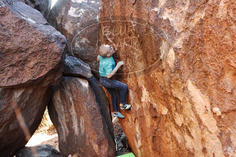 Bouldering in Hueco Tanks on 12/24/2018 with Blue Lizard Climbing and Yoga

Filename: SRM_20181224_1625150.jpg
Aperture: f/4.0
Shutter Speed: 1/125
Body: Canon EOS-1D Mark II
Lens: Canon EF 16-35mm f/2.8 L