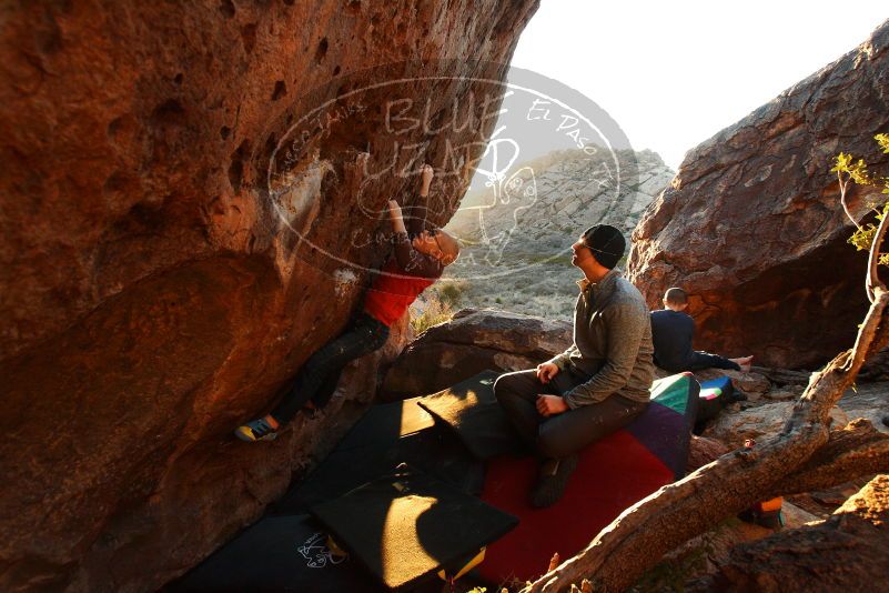 Bouldering in Hueco Tanks on 12/24/2018 with Blue Lizard Climbing and Yoga

Filename: SRM_20181224_1754280.jpg
Aperture: f/5.0
Shutter Speed: 1/200
Body: Canon EOS-1D Mark II
Lens: Canon EF 16-35mm f/2.8 L