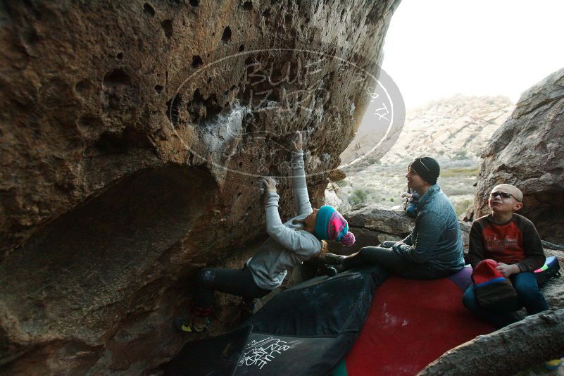 Bouldering in Hueco Tanks on 12/24/2018 with Blue Lizard Climbing and Yoga

Filename: SRM_20181224_1801210.jpg
Aperture: f/4.5
Shutter Speed: 1/160
Body: Canon EOS-1D Mark II
Lens: Canon EF 16-35mm f/2.8 L