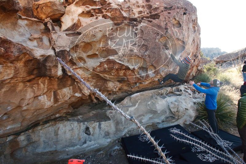 Bouldering in Hueco Tanks on 12/30/2018 with Blue Lizard Climbing and Yoga

Filename: SRM_20181230_1035290.jpg
Aperture: f/6.3
Shutter Speed: 1/200
Body: Canon EOS-1D Mark II
Lens: Canon EF 16-35mm f/2.8 L