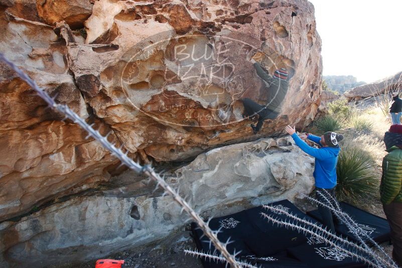 Bouldering in Hueco Tanks on 12/30/2018 with Blue Lizard Climbing and Yoga

Filename: SRM_20181230_1035350.jpg
Aperture: f/6.3
Shutter Speed: 1/200
Body: Canon EOS-1D Mark II
Lens: Canon EF 16-35mm f/2.8 L