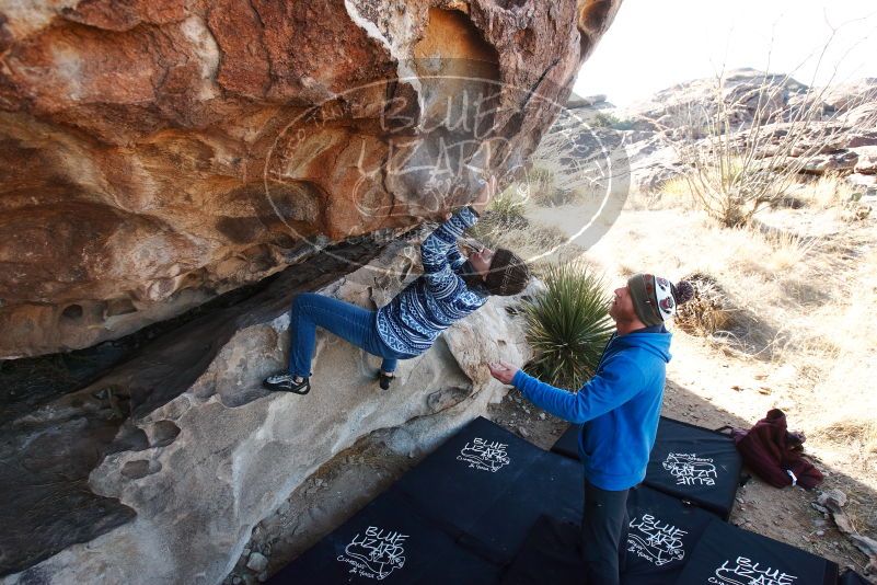 Bouldering in Hueco Tanks on 12/30/2018 with Blue Lizard Climbing and Yoga

Filename: SRM_20181230_1041120.jpg
Aperture: f/5.0
Shutter Speed: 1/250
Body: Canon EOS-1D Mark II
Lens: Canon EF 16-35mm f/2.8 L